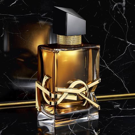 perfumes like ysl y|which YSL libre is better.